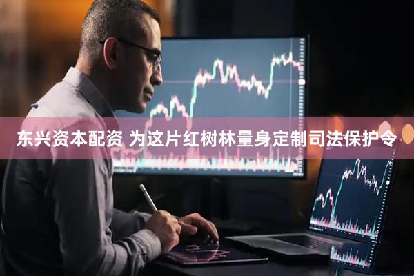 东兴资本配资 为这片红树林量身定制司法保护令