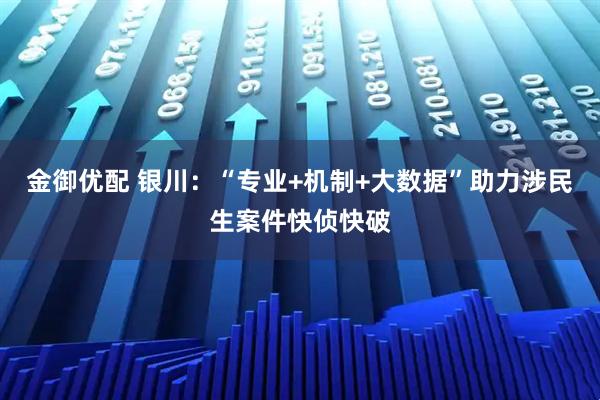 金御优配 银川：“专业+机制+大数据”助力涉民生案件快侦快破