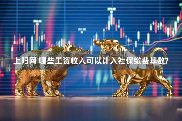 上阳网 哪些工资收入可以计入社保缴费基数?